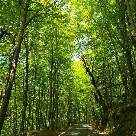 Tatil Evi Casa Do Passadico Vieira do Minho