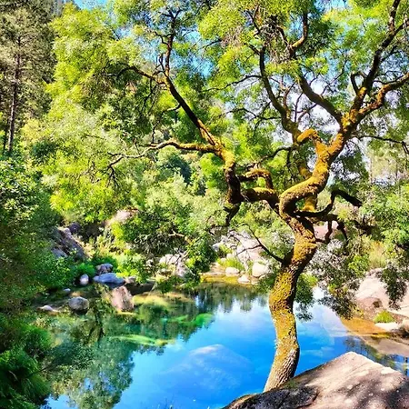 Casa Do Passadico Casa vacanze Vieira do Minho