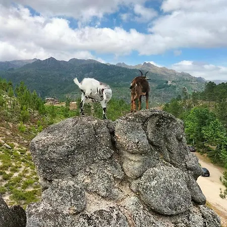 Casa Do Passadico Casa vacanze Vieira do Minho