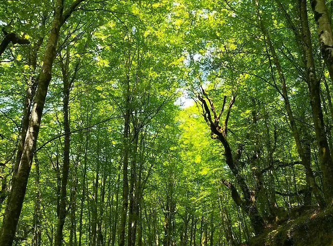 Nyaraló Casa Do Passadico Vieira do Minho