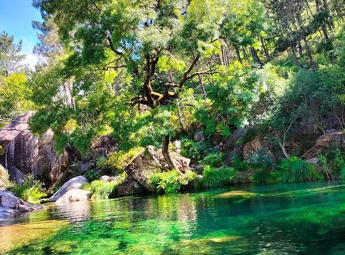 بيت للعطل Casa Do Passadico *