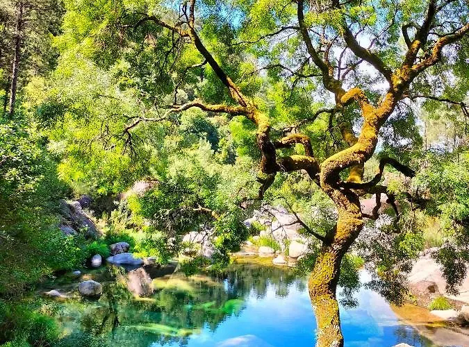 Casa Do Passadico بيت للعطل فييرا دو مينهو