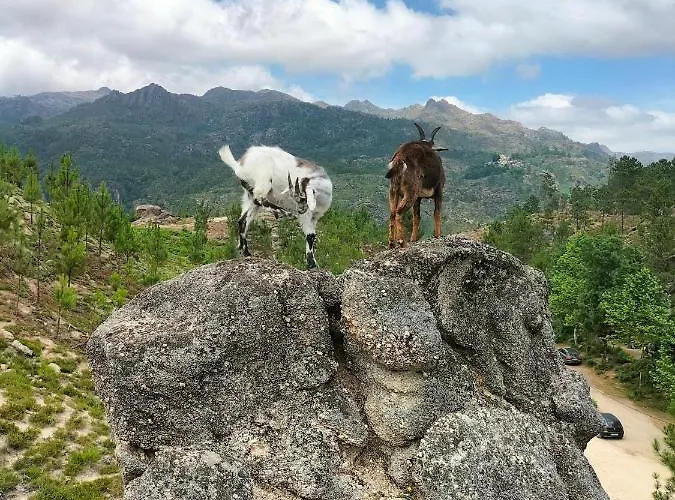 Casa Do Passadico بيت للعطل فييرا دو مينهو